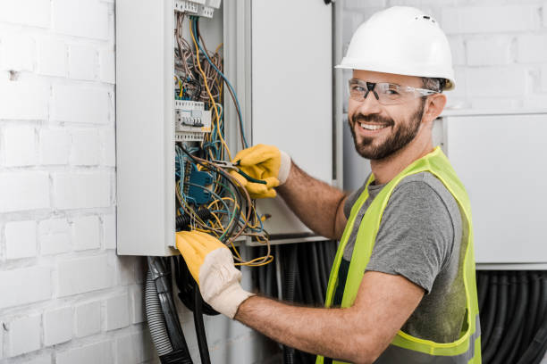 Best Electric Panel Repair  in Hazlehurst, GA